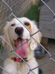 dscn0909.jpg