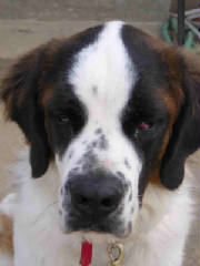 dscn1144.jpg