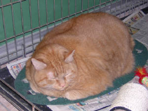 dscn1181.jpg
