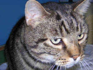 dscn1203.jpg